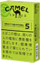 骆驼·工艺·薄荷·5·盒装